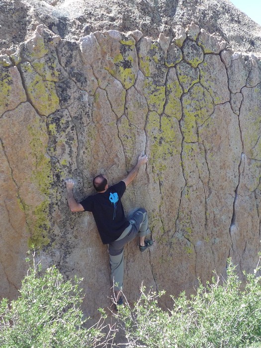 Andrew Stevens from Bishop dans Green Wall Center (V6)